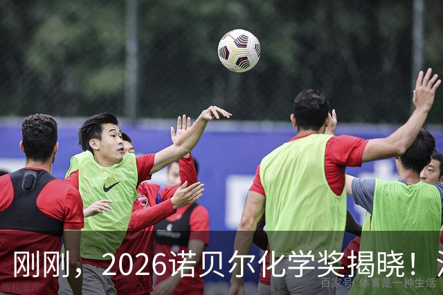 刚刚，2026诺贝尔化学奖揭晓！法日科学家获奖！