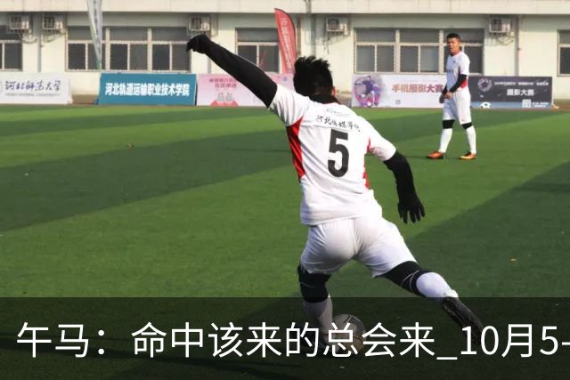 午马：命中该来的总会来 10月5‑10日大喜悄然降临，一切皆有因果