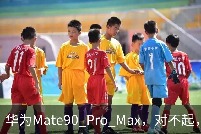 华为Mate90 Pro Max，对不起，还是说声再见了！