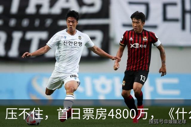 压不住，首日票房4800万，《什么意思夫妇》走高，小沈阳赌对了！