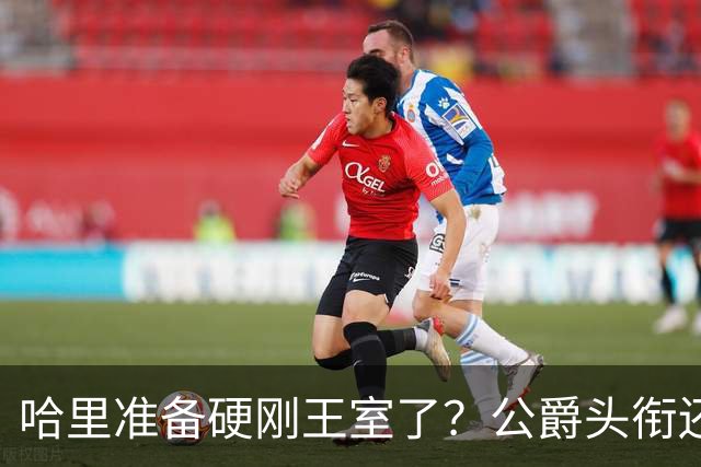 哈里准备硬刚王室了？公爵头衔还在身上，查尔斯的活动会给邀请吗