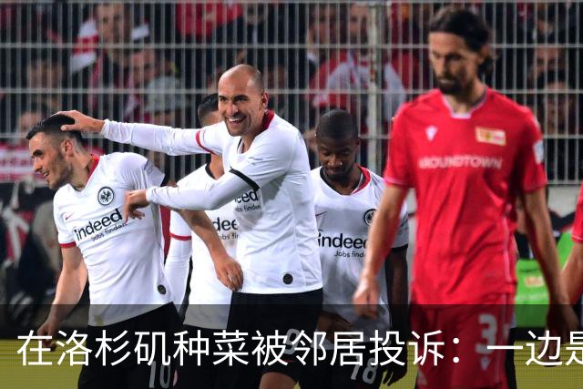在洛杉矶种菜被邻居投诉：一边是中国人的乡愁，一边是美国人的规矩