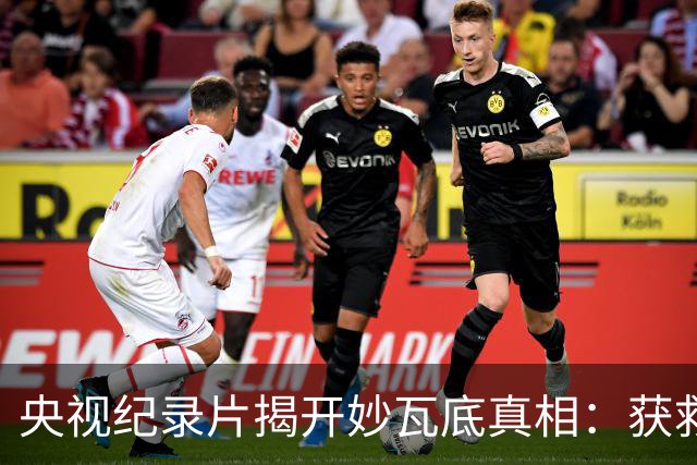 央视纪录片揭开妙瓦底真相：获救者几乎清一色是男性，而女性一旦被卖进园区，能活着回来的几乎为零