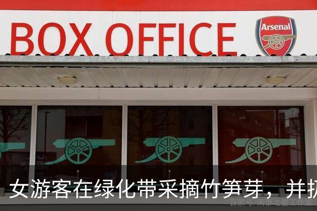 女游客在绿化带采摘竹笋芽，并扔向大熊猫，广州长隆：“妹猪”没有吃