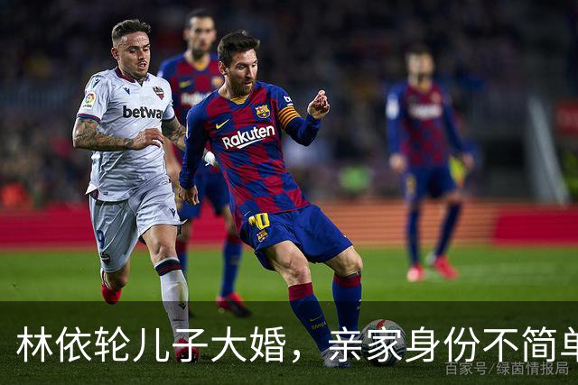 林依轮儿子大婚，亲家身份不简单，是温州华侨，在法国开服装店