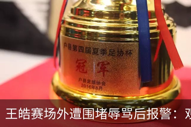 王皓赛场外遭围堵辱骂后报警：观赛表达的法律边界在哪？“法不责众”能成为免责理由吗？律师解读