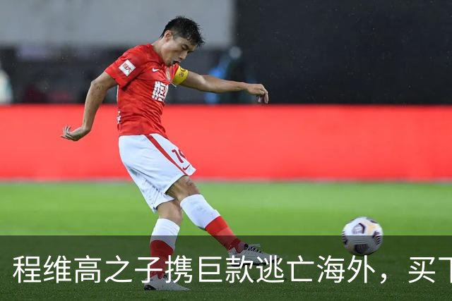 程维高之子携巨款逃亡海外，买下65公顷岛屿，重金将女儿送进政坛