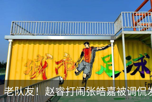 老队友！赵睿打闹张皓嘉被调侃发型 布朗陈盈骏崔永熙焦泊乔合照