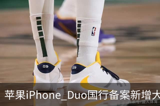 苹果iPhone Duo国行备案新增大模型编号：Apple智能、通义万象、通义千问