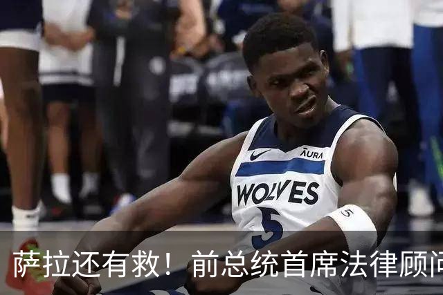 萨拉还有救！前总统首席法律顾问：不按16票就违宪，将被刑事指控