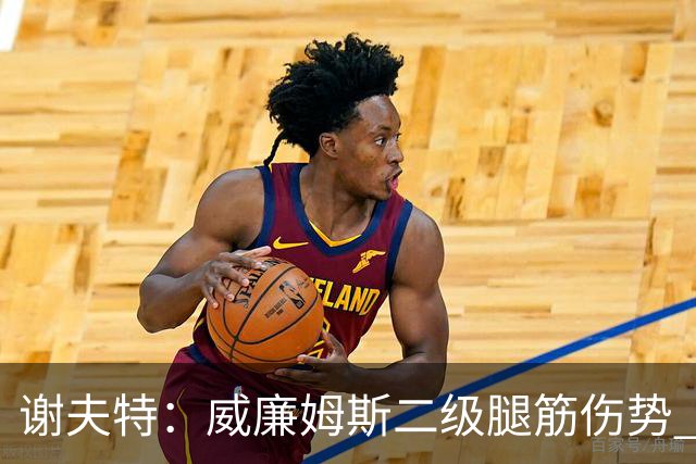 谢夫特：威廉姆斯二级腿筋伤势 预计缺席三到四周