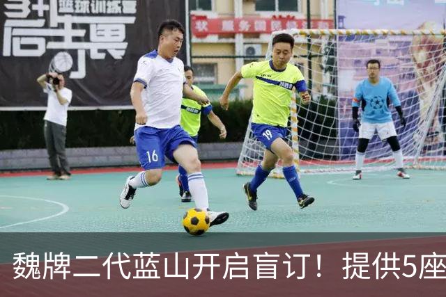 魏牌二代蓝山开启盲订！提供5座和6座版本，计划年内完成上市