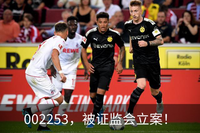 002253，被证监会立案！